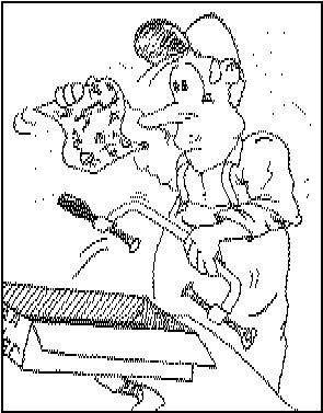bricoleur_q10.png