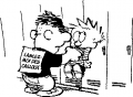 calvin3_q20.png