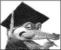 crocoamstrad_q10.png